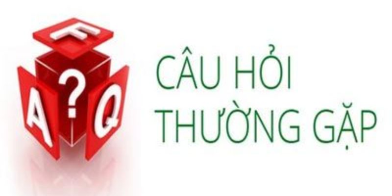 Câu hỏi thường gặp cần biết