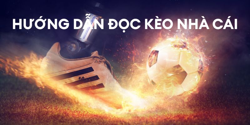 Hướng dẫn đọc kèo nhà cái