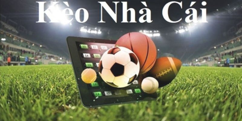 Top nhà cái uy tín kèo nhà cái